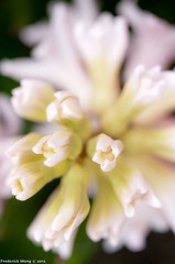 20120316_130413.jpg