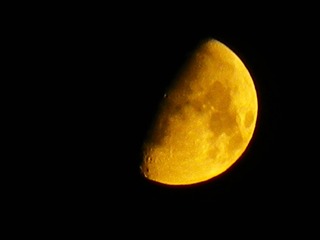 IMGP0390
