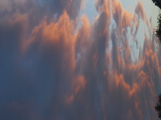 IMGP0201