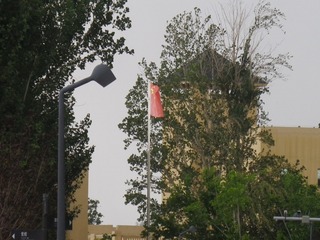 IMGP0153