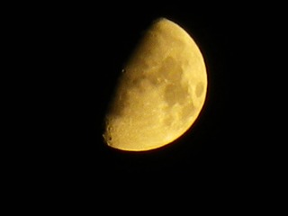 IMGP0371