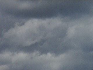 IMGP0071