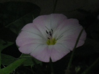 IMGP0916
