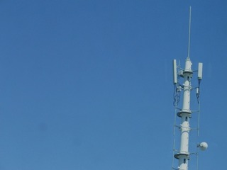 IMGP0006