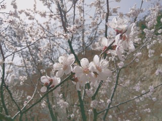 405030