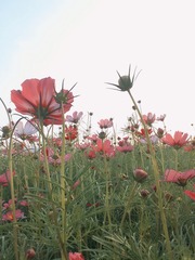 A9711F81-373F-473B-B971-CE5F51B54FA2/L0/001