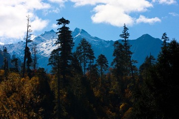 20091031-IMG_0310