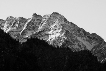 20091103-IMG_1043
