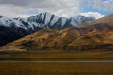 20091106-IMG_1427
