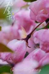 E1897A8E-55CF-4EEE-8DDF-1E62874FB4FA/L0/001