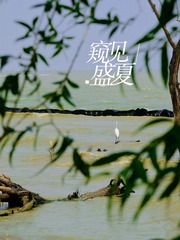 D55E2E0A-E519-4496-B3A8-9B760E7E61B1/L0/001