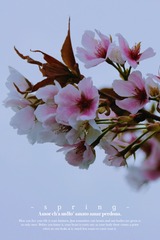 73C66E27-8B08-4B8A-A7C8-40B1FD6AFA23/L0/001