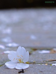 D5941F6D-A014-4659-A65C-684C1125A41F/L0/001