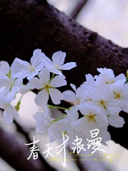 1B4523EA-ABD4-4B9A-9781-375580181917/L0/001