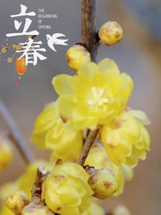08CF3B01-8AD0-4E06-96F4-C60E54787E6E/L0/001
