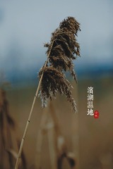 87B29888-94DD-4DA2-854B-31A28883290F/L0/001