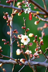 F1284981-F606-43F4-84C7-56315B0FDFDC/L0/001
