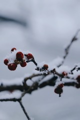 D1733DAA-8578-47C1-AD0A-6F139586AB19/L0/001
