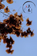 B355FE03-5D93-420D-ACD5-DDBADB98397D/L0/001