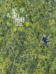23B62749-951D-4FE1-AC05-0A0AB43C75A9/L0/001