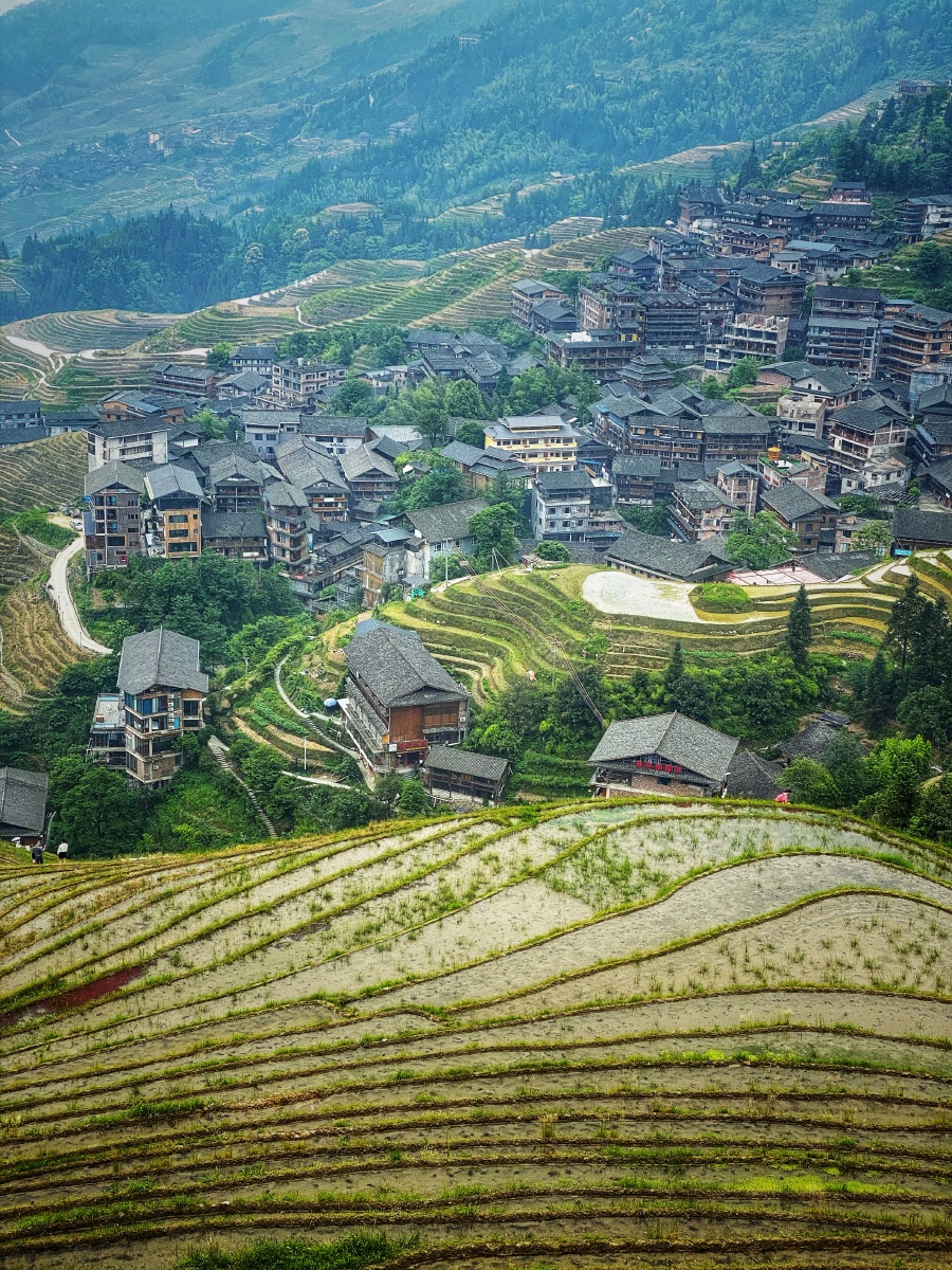 龙脊梯田02平安寨观景台俯瞰