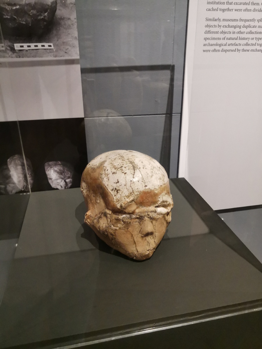 藏在悉尼大学中的尼科尔森博物馆来自古老的文明埃及