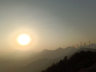 1000036709