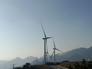 1000036703