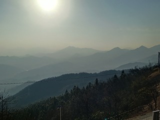 1000036705