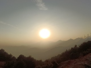 1000036707