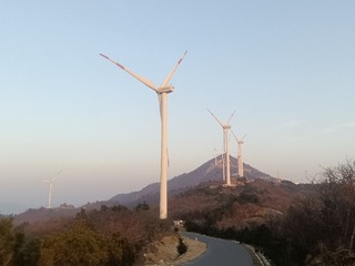 1000036715