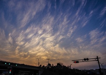 644E220E-3672-4C75-B7EC-E3152CD00D29/L0/001