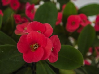 E5778977-2144-4332-AD7D-E1ED40959B75/L0/001