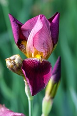 001