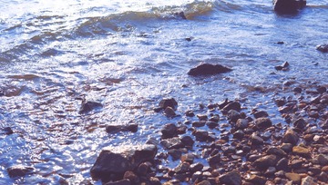 9649C35E-3BAA-4FDC-8993-9B5303A9320B/L0/001