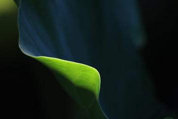 1000025322