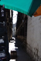 Sidney 20110808-032.jpg