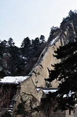 Sidney 20120216-2389.jpg