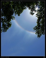 DSC07488
