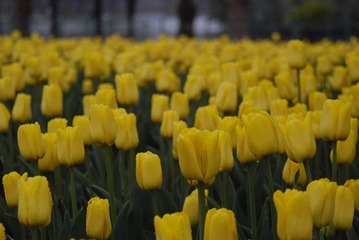 9F5006AA-C42E-4FD8-8668-182276B41F4D/L0/001