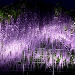 FE5C40AE-C45F-497D-8D81-8EE0C8128615/L0/001