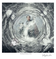 真相