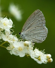 _DSC2757 副本.jpg