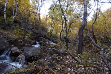 _DSC0682.jpg