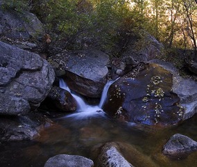 _DSC0690副本.jpg