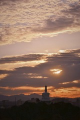 DSC_2155_polarr