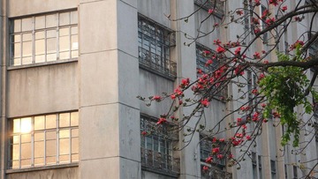 P1010234.JPG