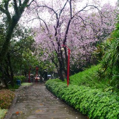 P1010263.JPG