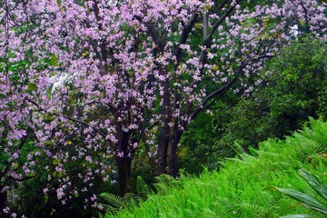 P1010264.JPG