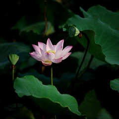 DSC_8813.jpg